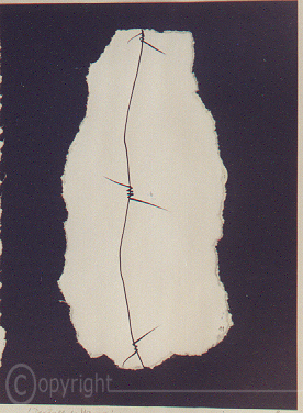 Der längste Mauerfall Der längste Mauerfall